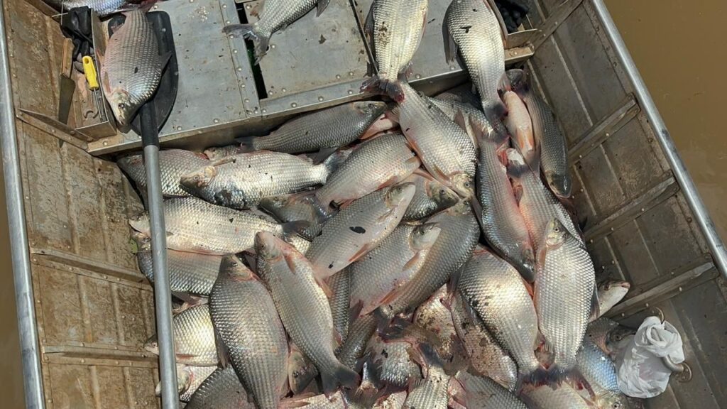 Amapá tem mais de 28 mil pescadores artesanais registrados, segundo pesquisa nacional